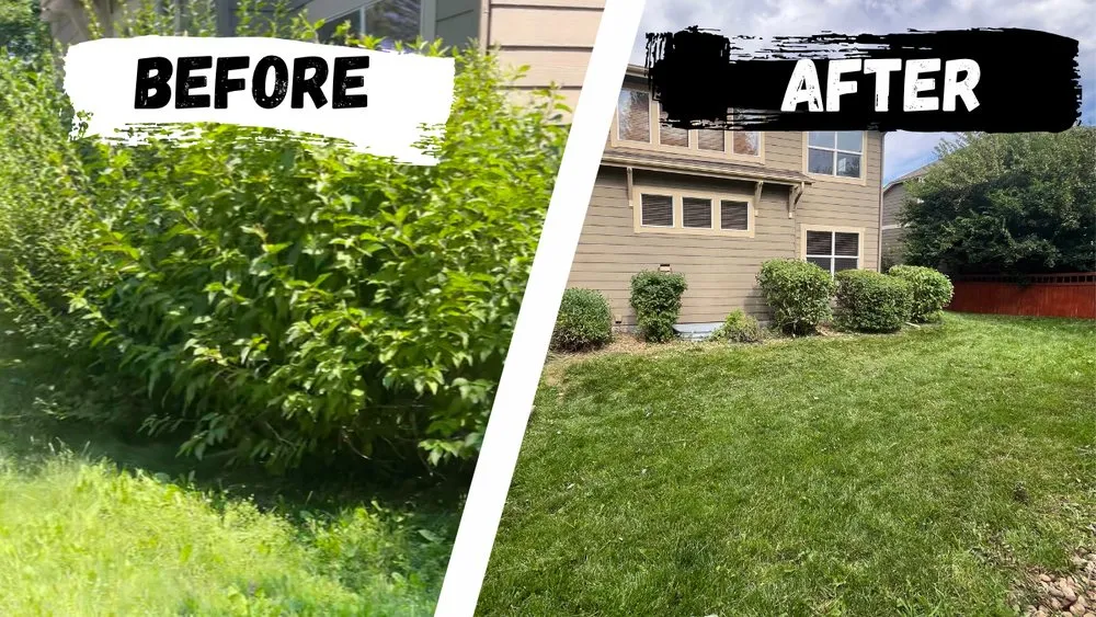 Top-rated landscape installation in Castle Rock, CO - Johnson & Co Landscaping