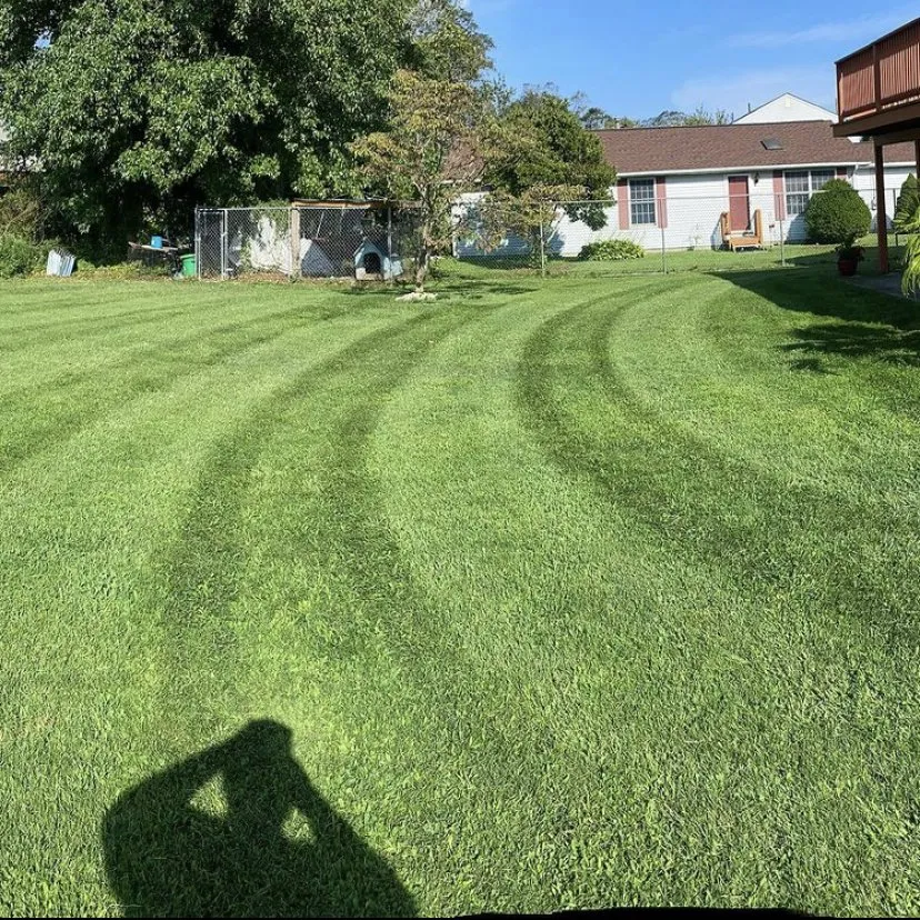 Reliable yard cleanup service with custom design in Asbury Park, NJ by Johnson & Son Landscaping