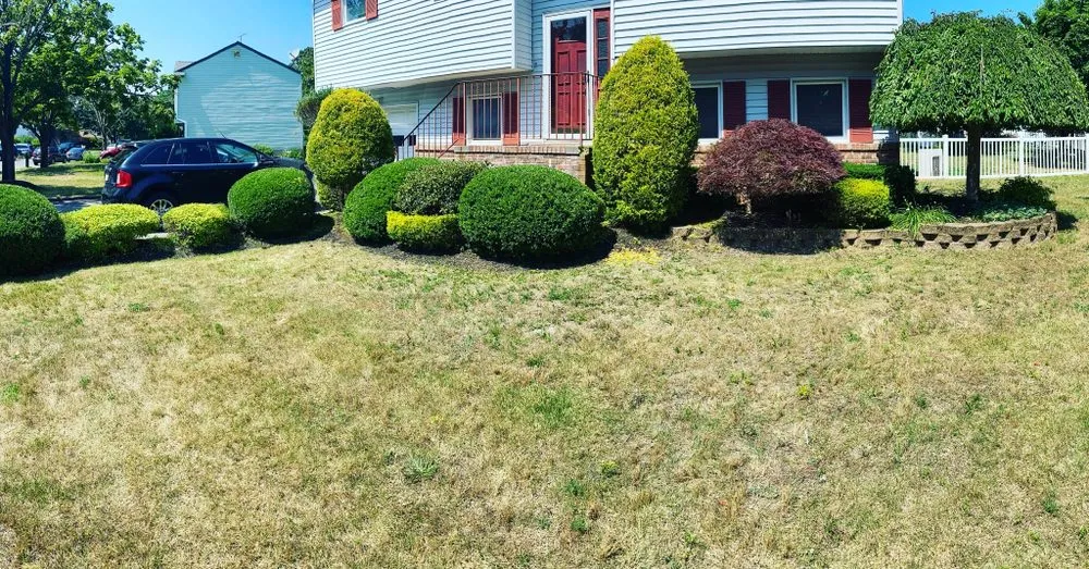 Affordable landscape installation for residential properties in Asbury Park, NJ by Johnson & Son Landscaping