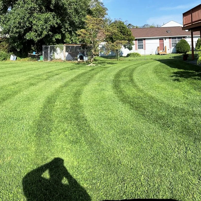 Professional garden landscaping in Asbury Park, NJ by Johnson & Son Landscaping