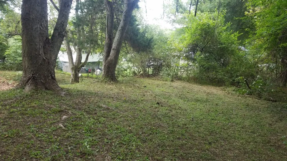 Top-rated landscaping services for year-round maintenance in Clinton, MD by Johnson & Sons Landscaping