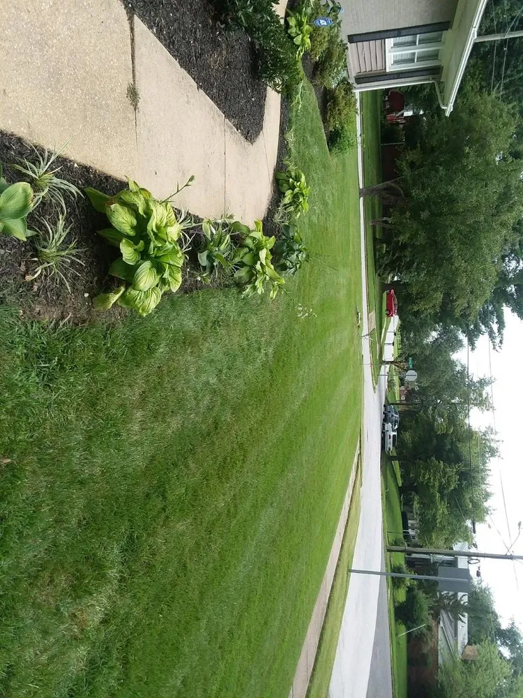 Local yard maintenance for beautiful yards across Clinton, MD - Johnson & Sons Landscaping