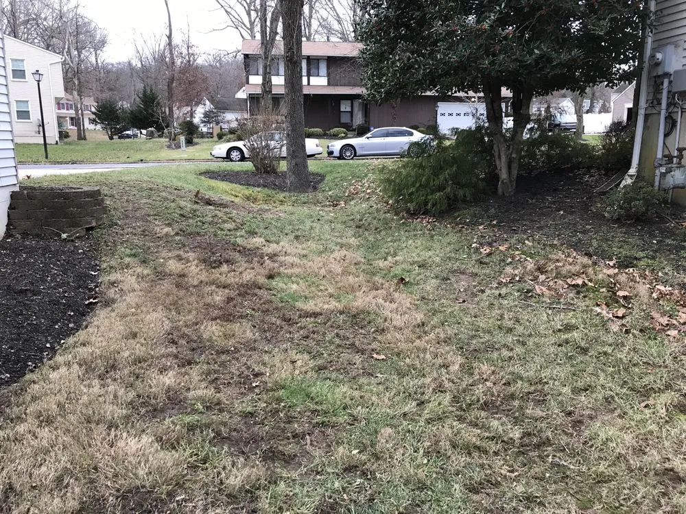 Affordable yard maintenance experts serving Clinton, MD - Johnson & Sons Landscaping