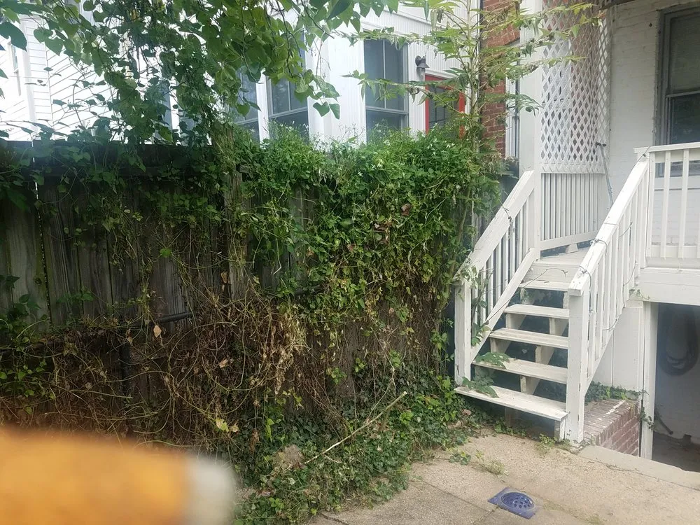 Professional lawn mowing service in Clinton, MD by Johnson & Sons Landscaping