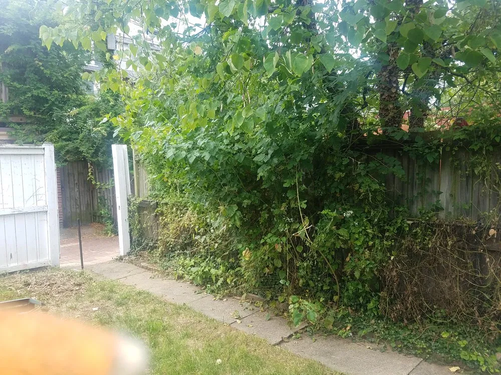 Professional landscaping services experts serving Clinton, MD - Johnson & Sons Landscaping