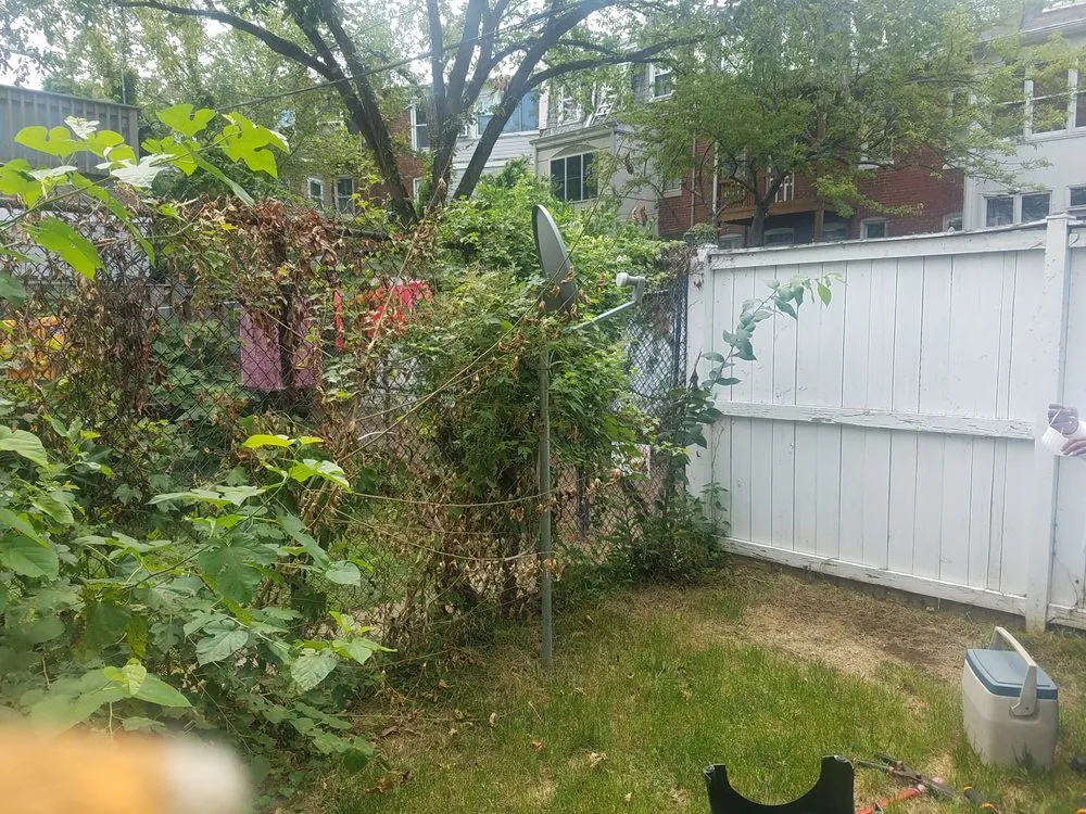 Reliable landscaping services for year-round maintenance across Clinton, MD - Johnson & Sons Landscaping