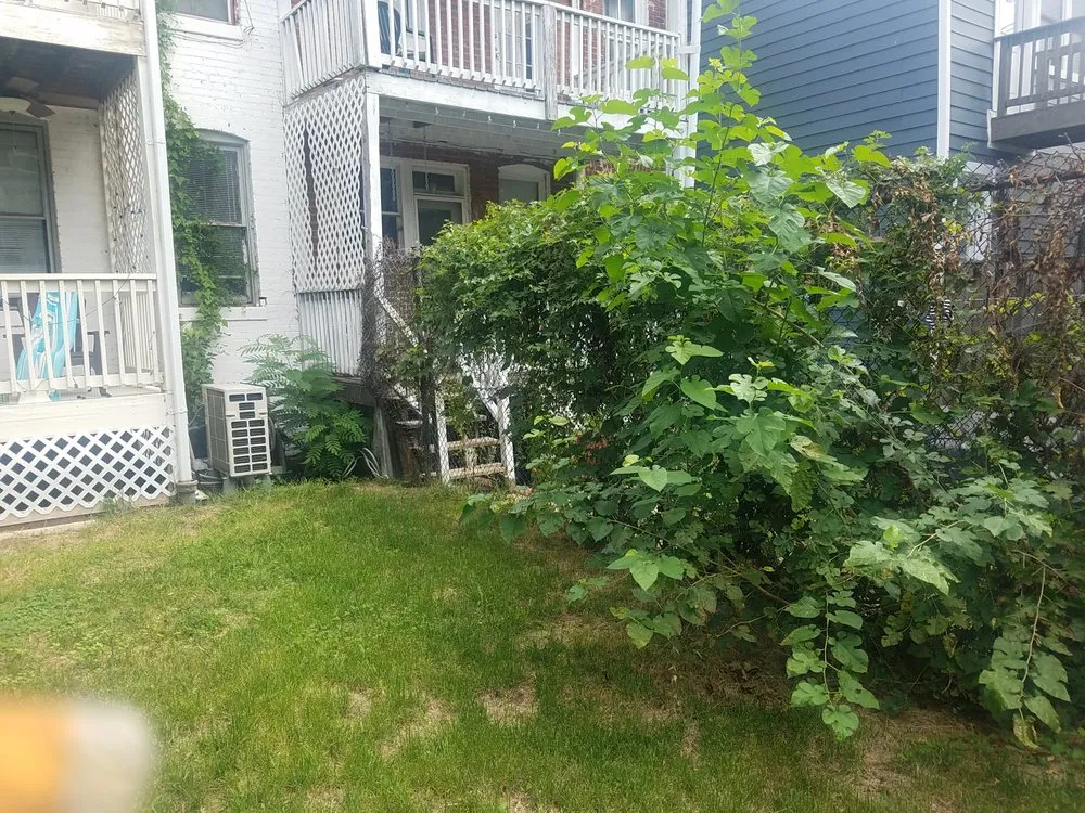 Reliable residential landscaping near you in Clinton, MD by Johnson & Sons Landscaping