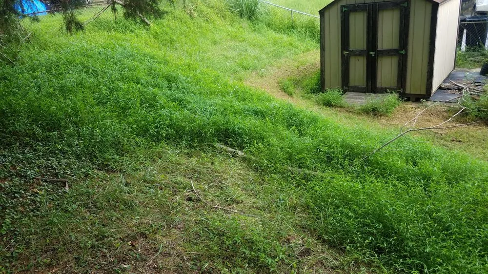 Local landscape design experts serving Clinton, MD - Johnson & Sons Landscaping