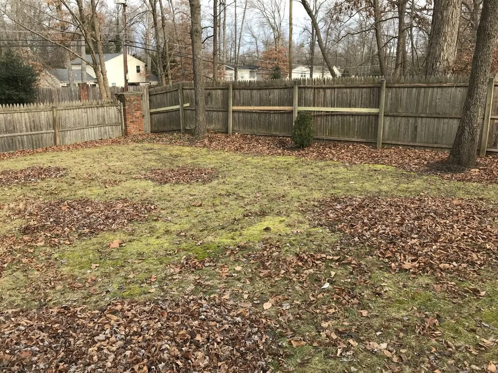 Professional residential landscaping for residential properties in Clinton, MD by Johnson & Sons Landscaping