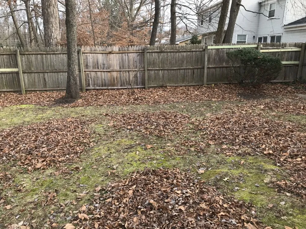 Trusted lawn mowing service experts serving Clinton, MD - Johnson & Sons Landscaping