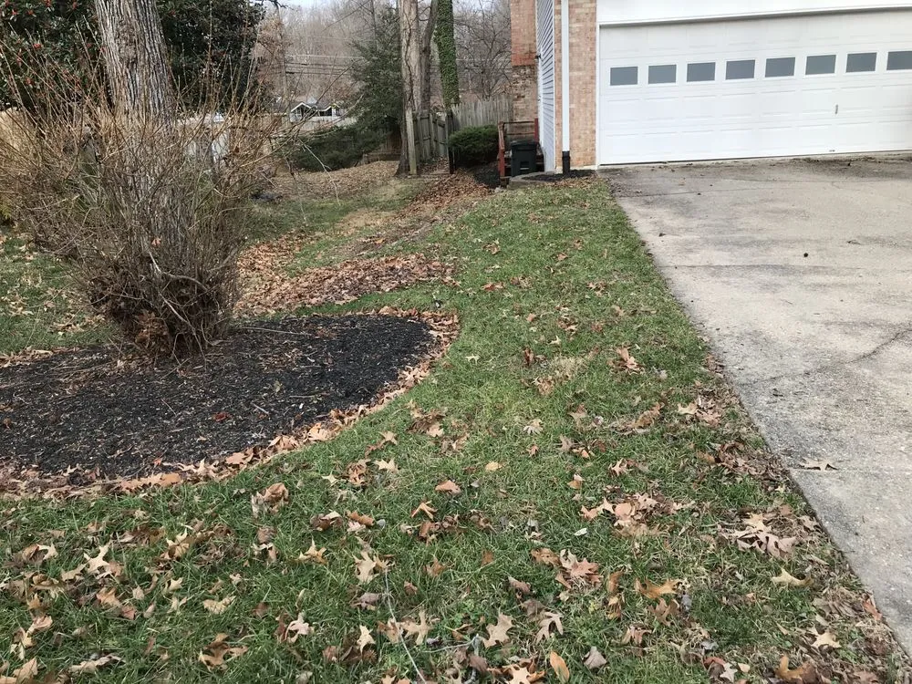 Professional yard maintenance in Clinton, MD by Johnson & Sons Landscaping