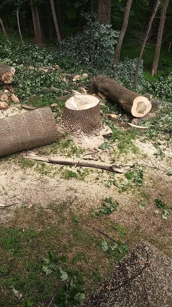 Custom yard cleanup service in Rocky Ridge, MD - Johnson and Sons