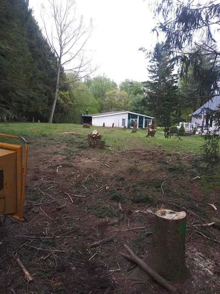 Expert landscape installation for homes across Rocky Ridge, MD - Johnson and Sons