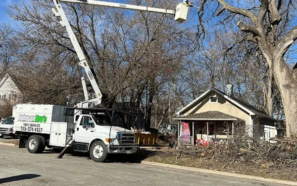 Johnson Bro's Snow & Mow Logo