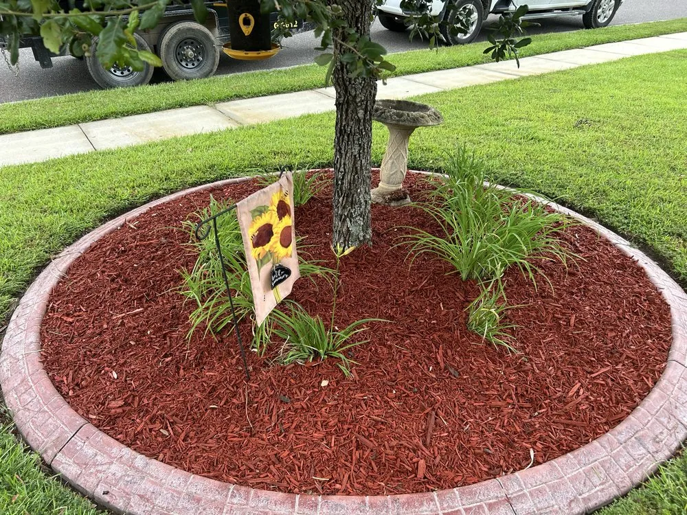 Affordable landscape installation in Gray, TN - Johnson City Landscaping And Pressure Washing