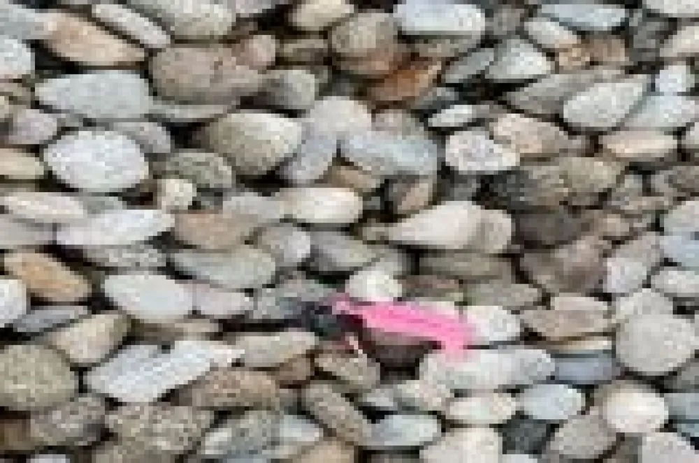 Local yard cleanup service with custom design in Bucyrus, KS by Johnson County Topsoil & Landscape Materials