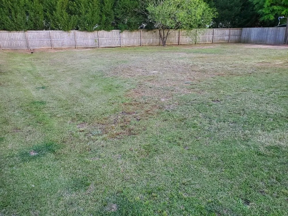 Custom residential landscaping in Fayetteville, NC by Johnson Enterprise