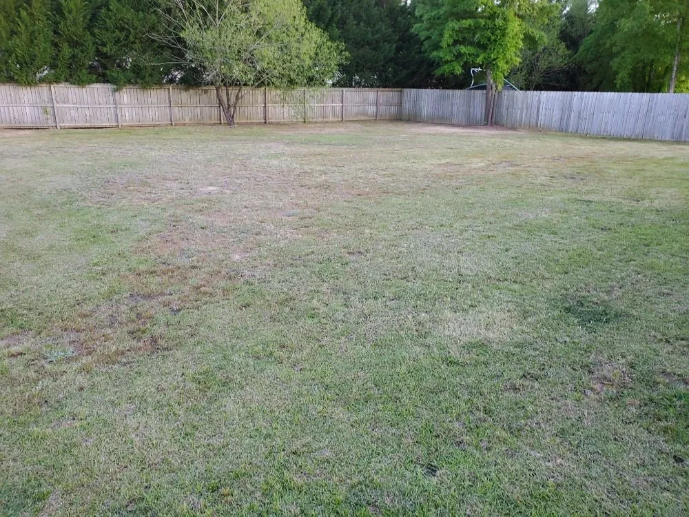 Local yard maintenance experts serving Fayetteville, NC - Johnson Enterprise