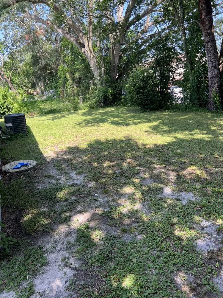 Affordable yard maintenance for outdoor upgrades across Tampa, FL - Johnson family