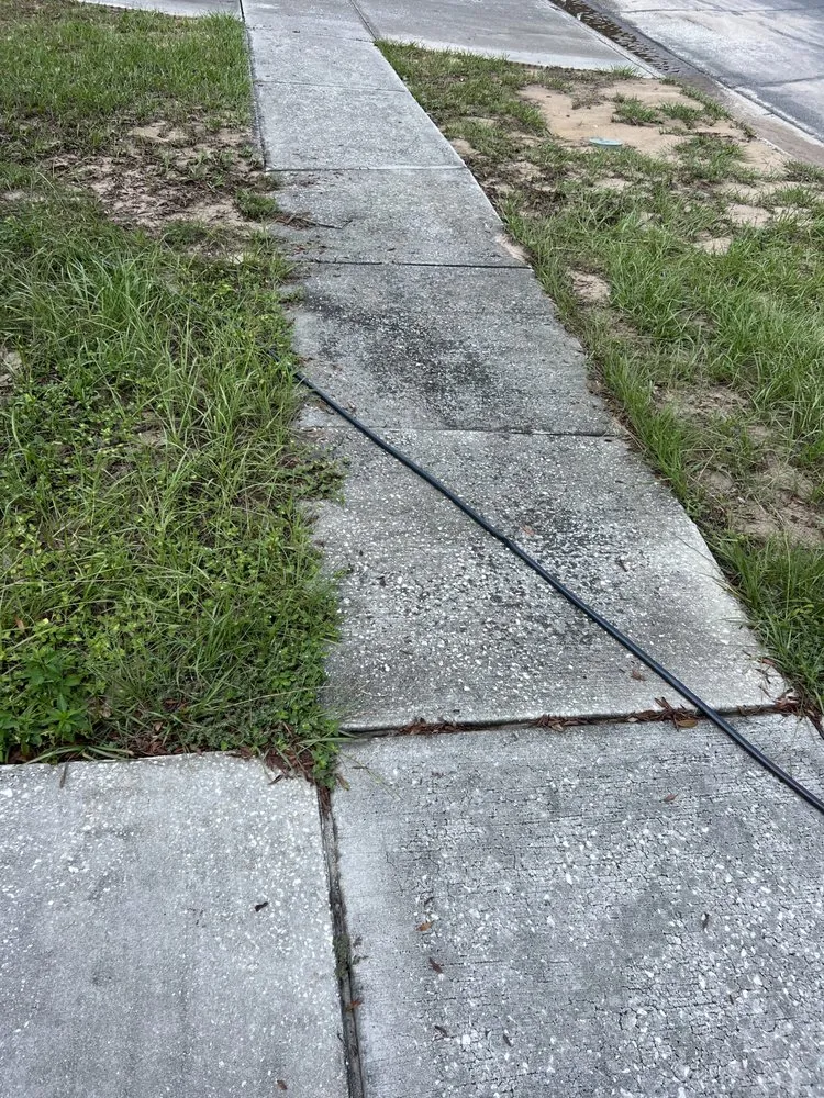 Top-rated landscape design experts serving Tampa, FL - Johnson family