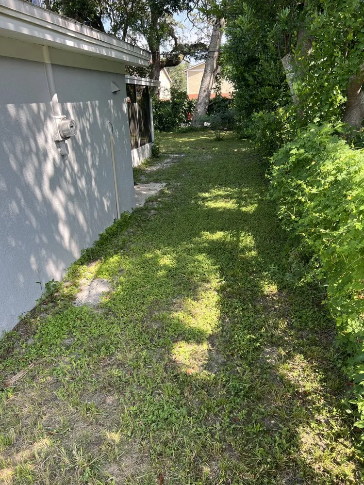 Top-rated outdoor landscaping near you in Tampa, FL by Johnson family