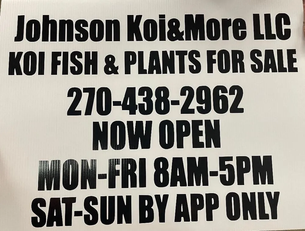 Local yard cleanup service experts serving Rockfield, KY - Johnson Koi & More