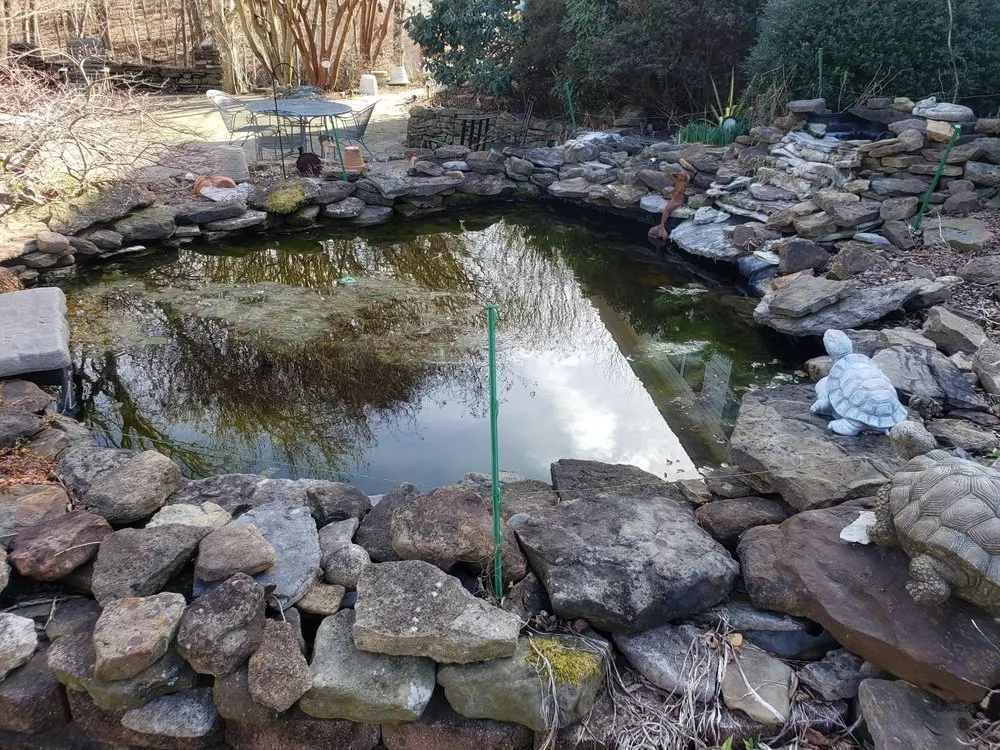 Top-rated yard cleanup service experts serving Rockfield, KY - Johnson Koi & More