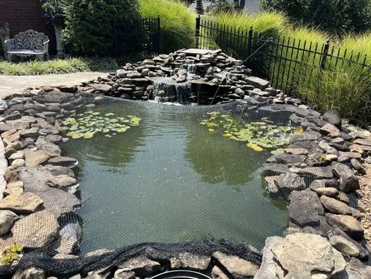 Johnson Koi & More