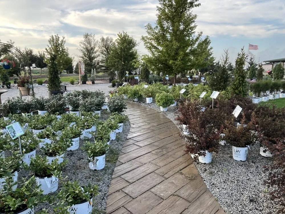 Reliable yard maintenance for outdoor upgrades across Grand Island, NE - Johnson Landscape