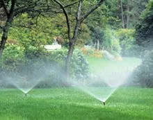 Expert garden landscaping experts serving Springville, UT - Johnson Landscape