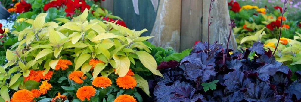 Trusted yard cleanup service experts serving Annawan, IL - Johnson Landscaping Services