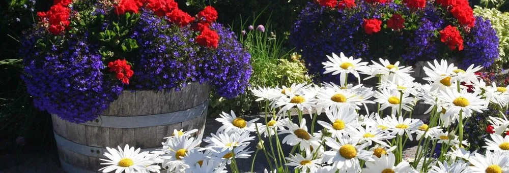 Professional lawn mowing service experts serving Annawan, IL - Johnson Landscaping Services