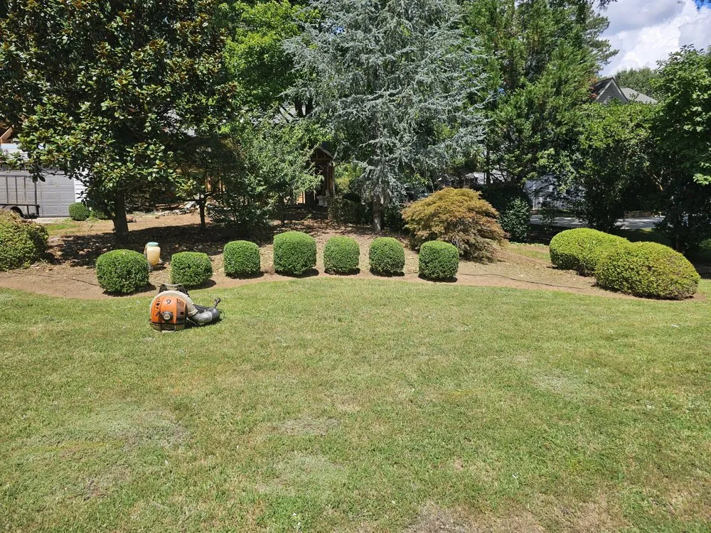Trusted landscape installation in Warm Springs, GA by Johnson Lanscaping Pinestraw