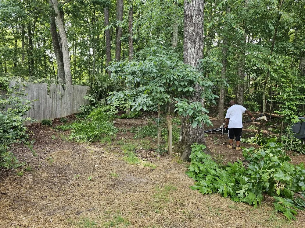Trusted yard cleanup service experts serving Warm Springs, GA - Johnson Lanscaping Pinestraw