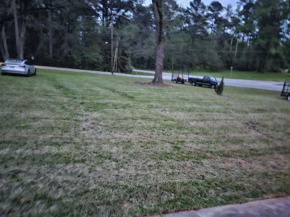 Custom lawn care service in Warm Springs, GA by Johnson Lanscaping Pinestraw