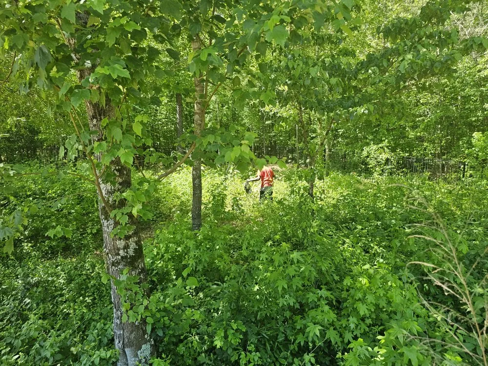 Reliable garden landscaping for year-round maintenance in Warm Springs, GA by Johnson Lanscaping Pinestraw