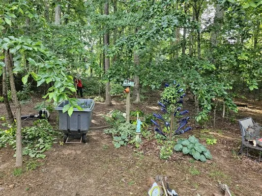 Johnson Lanscaping Pinestraw