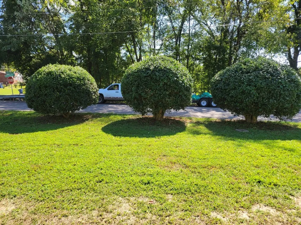 Custom residential landscaping in Woodlawn, TN - Johnson Lawn & Beyond