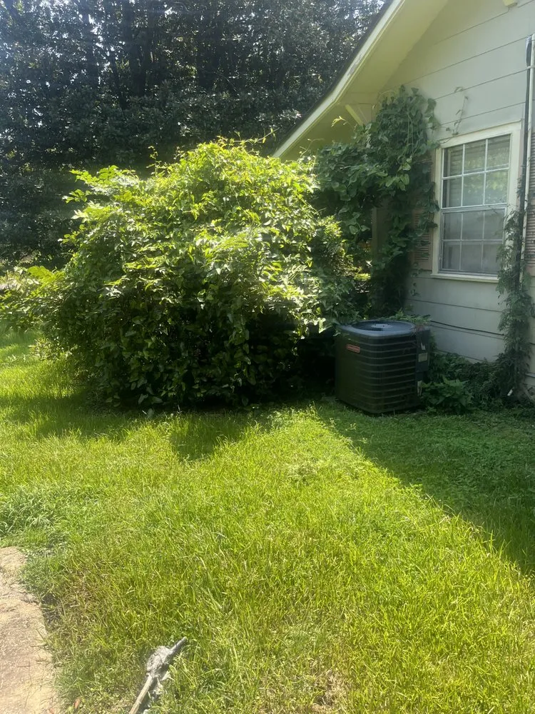 Top-rated landscape installation near you in Mobile, AL by Johnson Lawn And Handyman Service