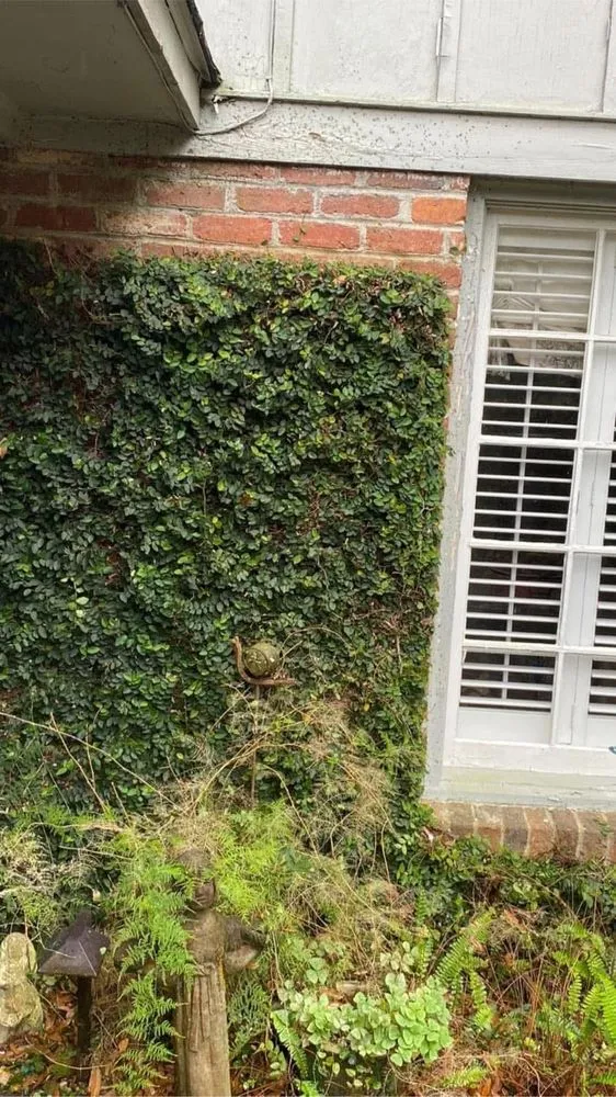 Custom landscaping services experts serving Mobile, AL - Johnson Lawn And Handyman Service