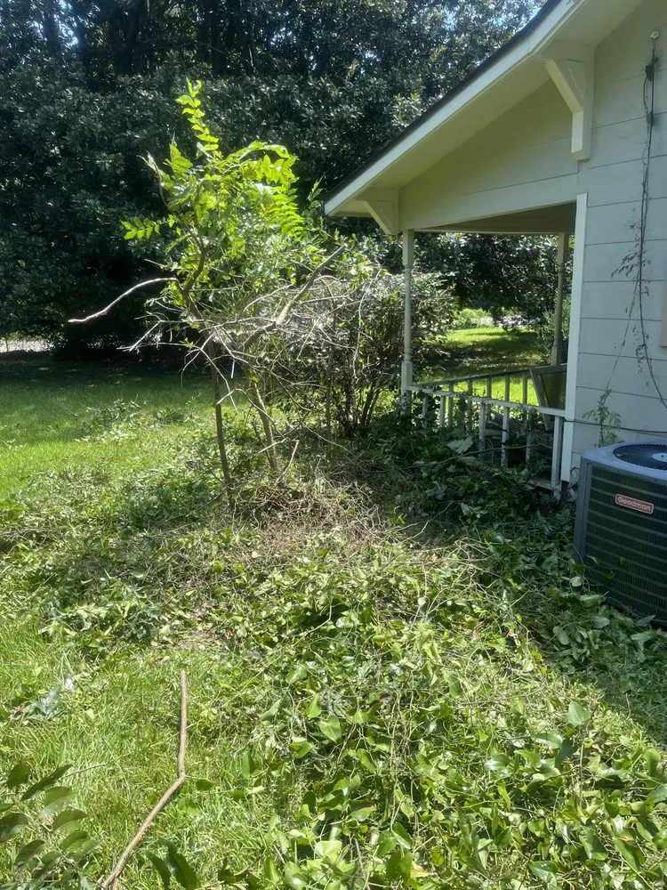 Local landscape installation in Mobile, AL by Johnson Lawn And Handyman Service