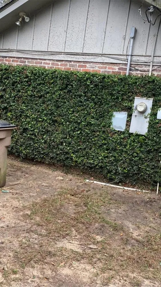 Expert residential landscaping in Mobile, AL - Johnson Lawn And Handyman Service