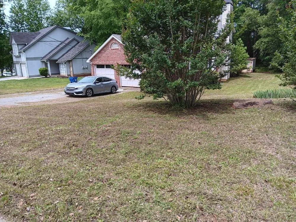 Custom residential landscaping for year-round maintenance in Decatur, GA by Johnson Lawn care & Electrical Services