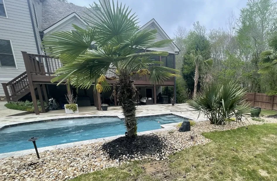 Expert lawn care service for year-round maintenance in Cumming, GA by Johnson Lawn Care and landscaping