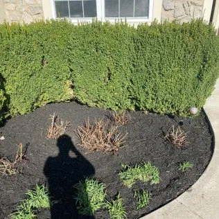 Trusted lawn mowing service in Kansas City, MO by Johnson Lawn Care