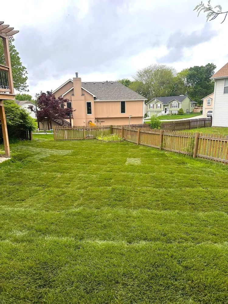 Trusted yard cleanup service with custom design in Kansas City, MO by Johnson Lawn Care