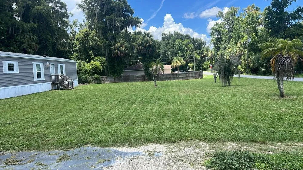 Expert yard cleanup service for beautiful yards across Lake Panasoffkee, FL - Johnson Lawn Care