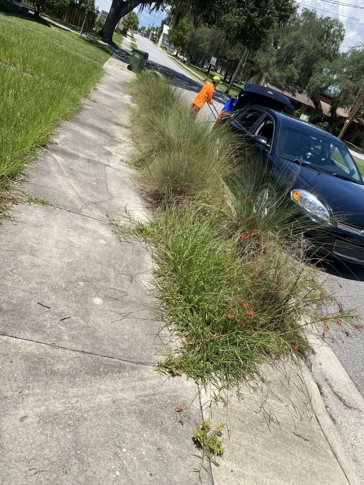 Top-rated lawn care service in Lake Panasoffkee, FL by Johnson Lawn Care