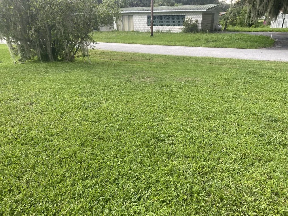 Trusted yard cleanup service in Lake Panasoffkee, FL - Johnson Lawn Care