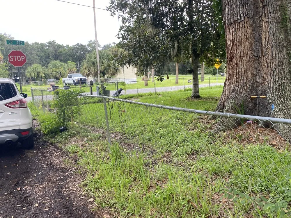 Affordable yard cleanup service in Lake Panasoffkee, FL by Johnson Lawn Care